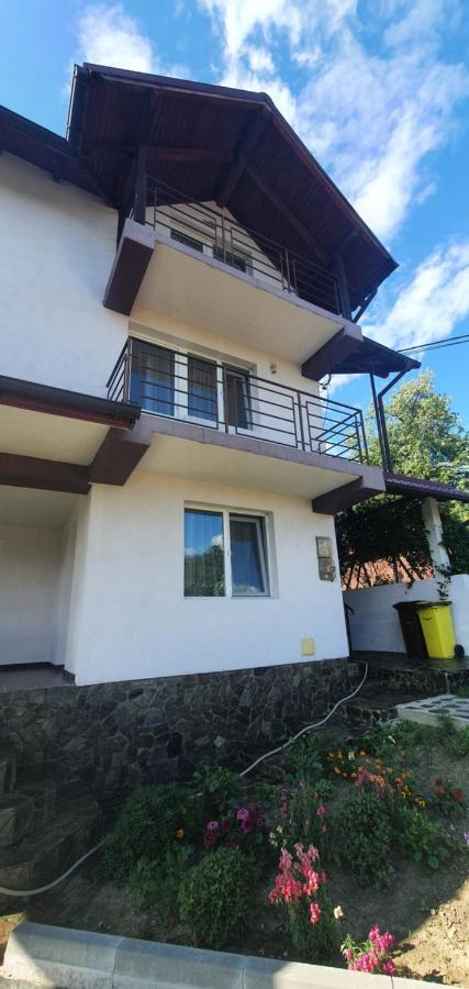 Casa Silvia Hotel Căpăţîneni-Ungureni Eksteriør billede