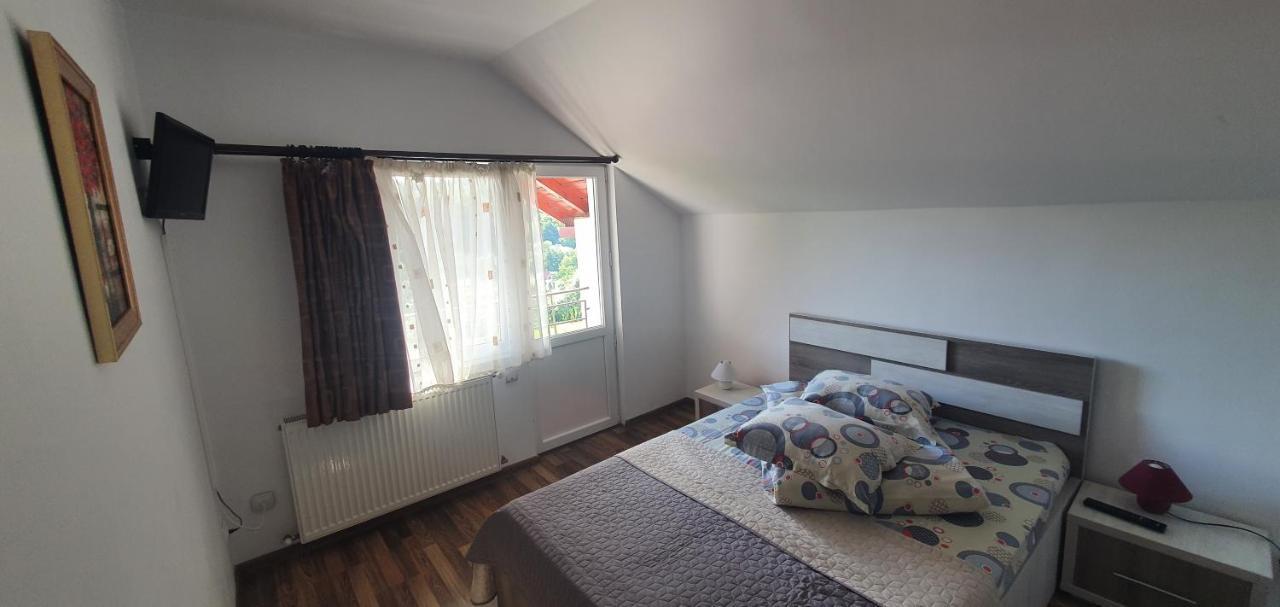 Casa Silvia Hotel Căpăţîneni-Ungureni Eksteriør billede