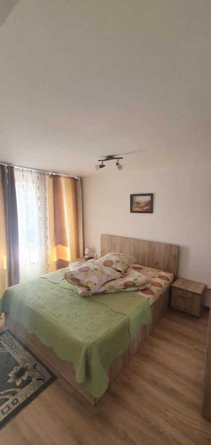 Casa Silvia Hotel Căpăţîneni-Ungureni Eksteriør billede