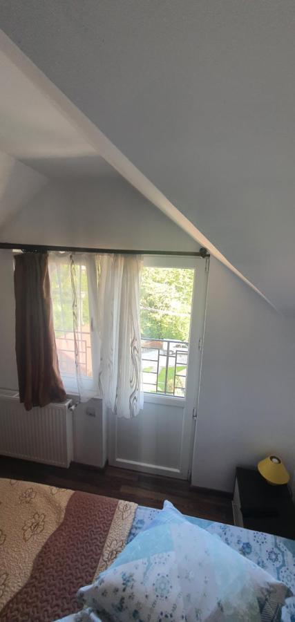 Casa Silvia Hotel Căpăţîneni-Ungureni Eksteriør billede