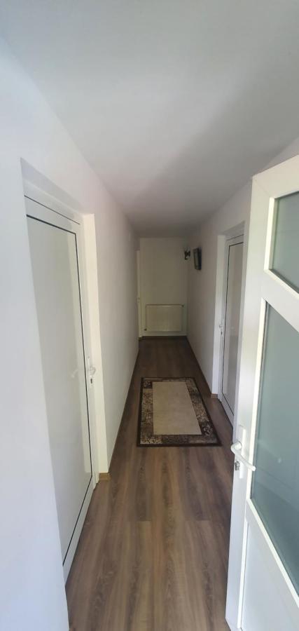 Casa Silvia Hotel Căpăţîneni-Ungureni Eksteriør billede