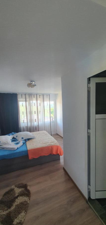 Casa Silvia Hotel Căpăţîneni-Ungureni Eksteriør billede