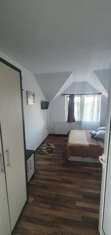 Casa Silvia Hotel Căpăţîneni-Ungureni Eksteriør billede